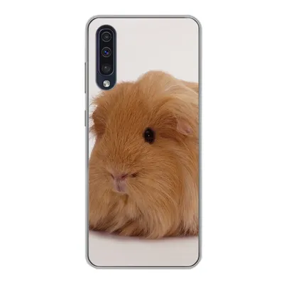 Produktbild von MuchoWow® Handyhülle Schutzhülle Hülle für Samsung Galaxy A30s Sheltie-Meerschweinchen Silikon Softcase Handy Hülle - Karteninhaber