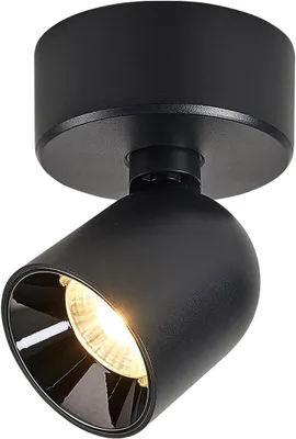 Image de Spot LED orientable, plafonnier, applique murale, éclairage, noir