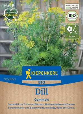 Produktbild von Kiepenkerl Saatgut Dill für ca. 900 Pflanzen
