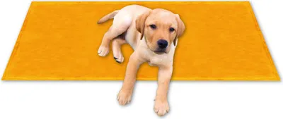 Immagine prodotto di Coperta per animali domestici Supersoft, dimensioni: 60x80cm, colore: arancione chiaro