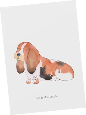 Produktbild von Mr. & Mrs. Panda Ansichtskarte Hund Basset Hound - Weiß - Geschenk, Kunstkarten, Niedlich, Postkarte, Postkarten, Grußkarte, Ansichtskarten, Sprüche