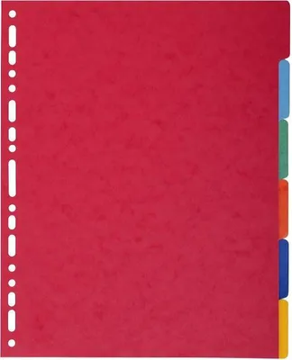 Immagine prodotto di Exacompta Nature Future Register DIN A4 con 6 linguette, beige, A4