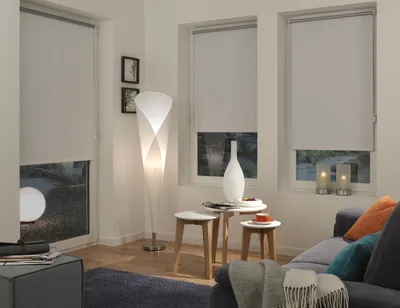 A living room scene with roller blinds on the windows, a floor lamp, and a sofa.