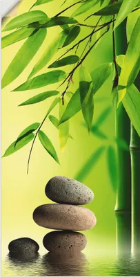 Produktbild von ARTland Wandbild, selbstklebend Spa Stillleben Größe: 20x40 cm