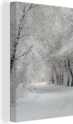 Produktbild von MuchoWow® - Leinwandbilder - Bäume - Schnee - Winter, Wandbild, Wanddeko Bilder Wohnzimmer, 60x90 cm
