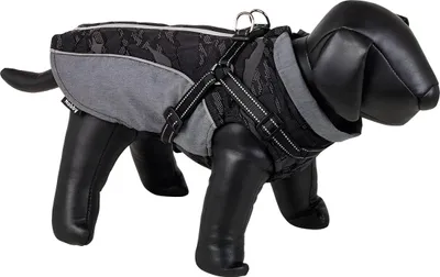 Produktbild von Nobby Hundemantel Reku 2 in 1 grau/schwarz, Größe: 40 cm
