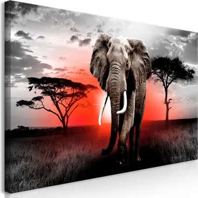 Produktbild von Wandbild Mega XXXL Afrika 250x125 cm Einteiliger XXL-Format Kunstdruck zur Selbstmontage Leinwandbilder moderne Bilder DIY Wanddekoration Wohnung Deko Landschaft Natur Elefant g-C-0054-ak-h
