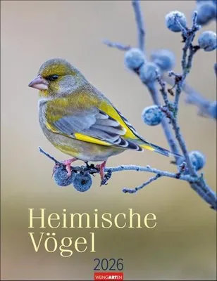 Produktbild von Heimische Vögel Kalender 2026