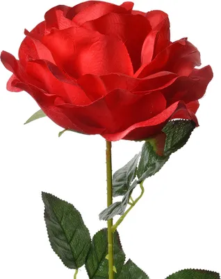 Image de Clayre & Eef Fleur artificielle Rose 75 cm rouge plastique