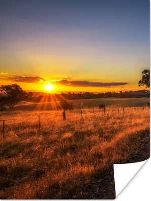 Produktbild von MuchoWow® Poster Sonne - Gras - Baum - Natur 90x120 cm - Wohnzimmer