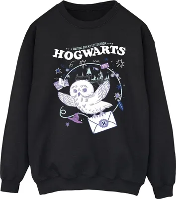 Produktbild von Harry Potter - "Letter From Hogwarts" Sweatshirt für Herren BI28694 (4XL) (Schwarz)
