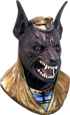 Produktbild von Anubis Maske Einheitsgrö ß e