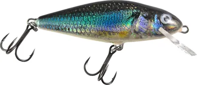Zdjęcie produktu dla Salmo Perch Wobbler Floating Holo Smelt 8cm DR