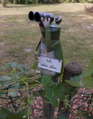Produktbild von Zaunfigur Zaungucker witziger Frosch mit Fernglas Ich sehe alles