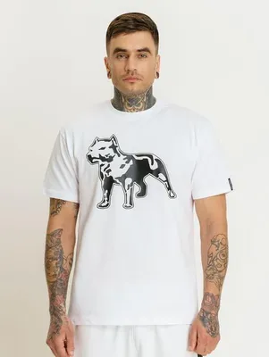 Immagine prodotto di Maglietta Amstaff Logo 2.0 - L