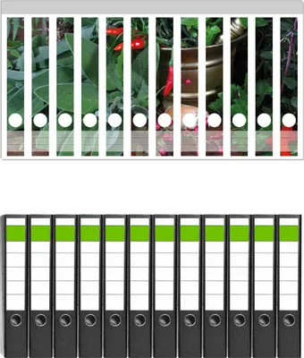 Produktbild von Wallario 12 Stück schmale Ordner inkl. Klebeetiketten mit Motive Frische  Kräuter  und  Gewürze -  Set mit Rückenschildern / Ordnerrücken Stickern