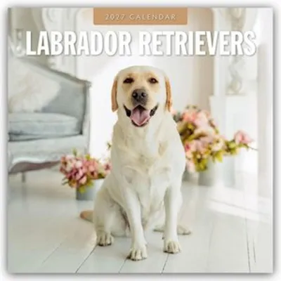 Obrázok produktu pre Labradorský retriever – Kalendár na rok 2027 (16-mesačný)