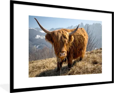 Produktbild von MuchoWow® Gerahmtes Poster Schottischer Highlander - Berg - Schnee 90x60 cm - Poster mit Schwarzem Bilderrahmen Wandposter Rahmen Foto Bilder - Wanddekoration - Fotos