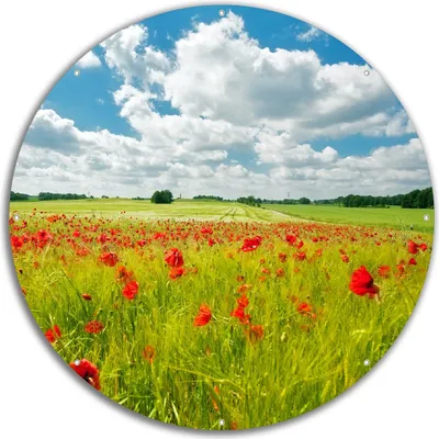 Produktbild von Wallario rundes Outdoor-Poster für Garten oder Balkon, Motiv Grüne Wiese mit Mohnblumen, 60 cm Durchmesser