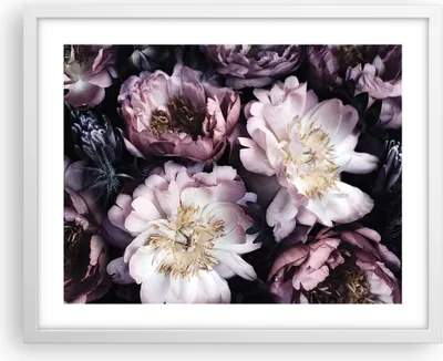 Produktbild von Gerahmtes Poster - Weißer Rahmen - Pfingstrosen Veilchen Blumen - 50x40 cm - Wand Bild - Wanddeko - Wandbilder - Kunstposter - Wandposter - Bilderrahmen - Bilder - Kunstdruck - P2WAA50x40-5076