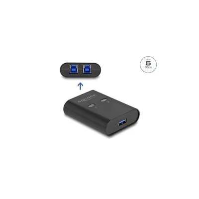 Productafbeelding van Delock - USB-schakelaar - 5 Gbps, 2 computers naar 1 apparaat - 2 x USB - voor desktopgebruik