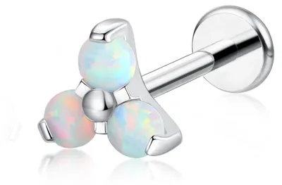 Productafbeelding van Hypoallergene Titanium Tragus Piercing met Diverse Staven