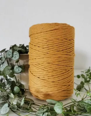 Image de Fil à macramé Fil en coton pour bricolage MIEL 200 mètres 4 mm TRAFILÉ