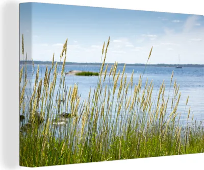 Zdjęcie produktu dla OneMillionCanvasses® - Obraz na płótnie - 140x90 cm, trzcina nad morzem, grafika ścienna dekoracja ścienna