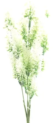 Produktbild von DPI Lavendel Blütenstiel Weiß ca. 34 cm - Kunstpflanzen
