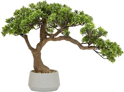 Produktbild von Atmosphera | Bonsai - Zimmerpflanze - 45 x 32 x 60 cm - Keramik Blumentopf - Kunstpflanze - Modern