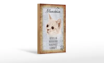 Produktbild von Holzschild Spruch 12x18cm Munchkin Katze lebhaft Schild