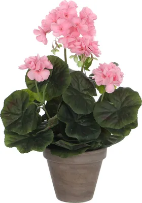 Produktbild von Mica Decorations Geranie Kunstpflanze in Blumentopf - H34 x Ø20 cm - Rosa
