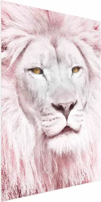 Produktbild von Posterpapier Poster - Beauty in Strength 21x30 cm Tiere g-C-0158-ao-a
