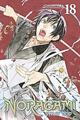 Image de Noragami: Stray God 18