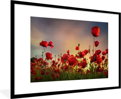 Produktbild von MuchoWow® Gerahmtes Poster Bunter Himmel über einem Mohnblumenfeld in Dänemark 90x60 cm - Poster mit Schwarzem Bilderrahmen Wandposter Rahmen Foto Bilder - Wanddekoration - Fotos