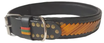 Productafbeelding van Halsband voor honden M 33-43 cm