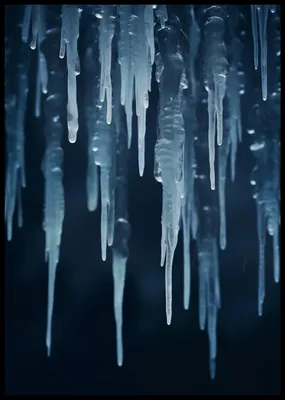 Produktbild von Plakat 59,4x84,1cm Wintergeflüster