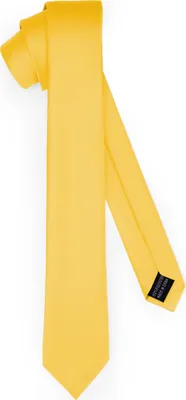 Image de Cravate classique pour hommes, mate Couleurs multiples TMM-5 150cmx5cm