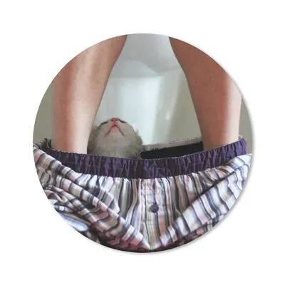 Produktbild von MuchoWow® Mauspad Mousepad Katze - Hose - Toilette 30x30 cm - Mousepads - Maus Mat - Pad - Mausunterlage - Tischunterlage - Schreibtischmatten