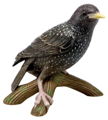 Produktbild von Goebel Vogel des Jahres 2018 - Star Figur