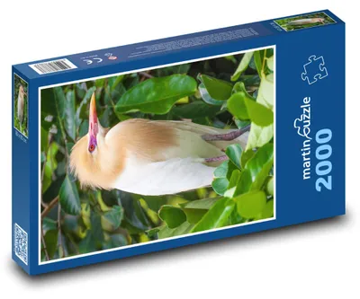 Zdjęcie produktu dla martinpuzzle - Puzzle 2000 - Pták - Petulubali, volavka