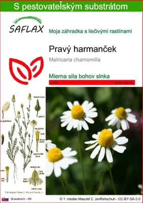 Obrázok produktu pre SAFLAX - Pravý harmanček - Matricaria chamomilla - 300 Semená - S pestovateľským substrátom bez klíčkov