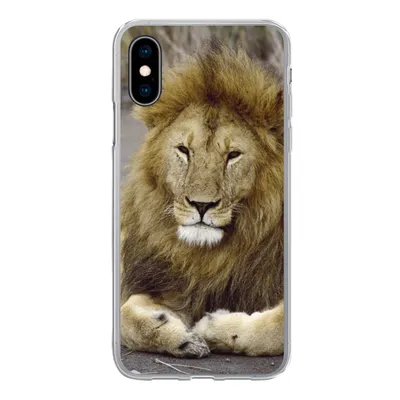 Produktbild von MuchoWow® Handyhülle Schutzhülle Hülle für iPhone X Löwe - Afrika - Tier Silikon Softcase Handy Hülle - Handyhülle