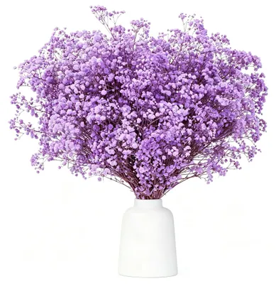 Getrocknete Blumen 43 cm, 3500 lila Gypsophila-Zweige, DIY