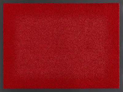 Produktbild von Fußmatte Elektra, rot, 40 x 60 cm