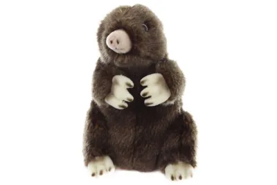 Image de Taupe en peluche 18 cm