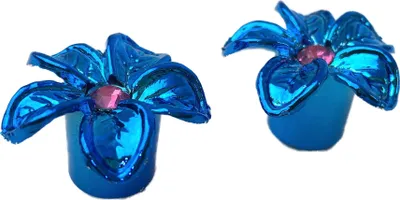 Image de Bouchon de valve Blume
