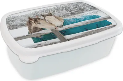Produktbild von KitchenYeah® Lunchbox Brotzeit Brotdose 17x11 cm Pferde - Decke - Schnee Kinder Brotzeitdose - Lunch Box - Kinder - Sandwich-Box - Schulbox - Lunch Boxen