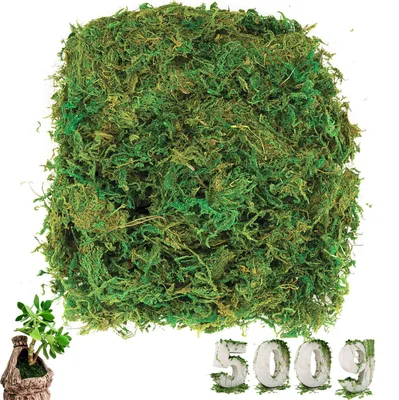 Kunstmoos 500 g – grün, leicht, für Deko & Basteln