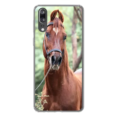 Produktbild von MuchoWow® Handyhülle Schutzhülle Hülle für Huawei P20 Pferd - Wald - Halfter Silikon Softcase Handy Hülle - Hardcover
